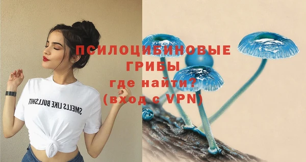 мяу мяу мука Богородицк