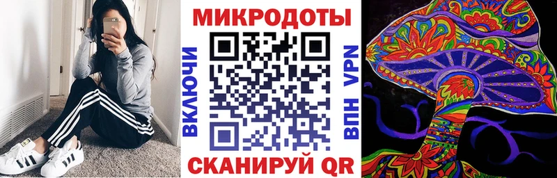 kraken сайт Княгинино Псилоцибиновые грибы мицелий купить цена